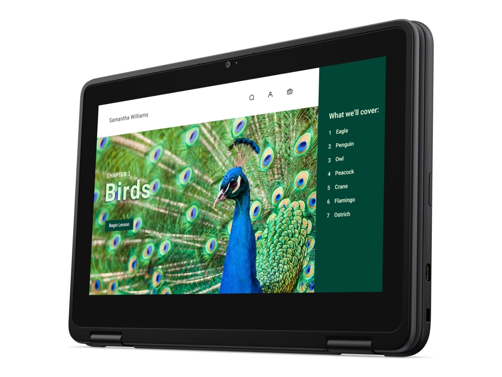 Chromebook 3120 (2024)   Intel N Series   N100   Op Til 3.4 Ghz   Chrome Os   Uhd Graphics   4 Gb Ram   64 Gb Emmc   11.6" Tn 1366 X 768 (hd)   Dell Bærbar Laptop